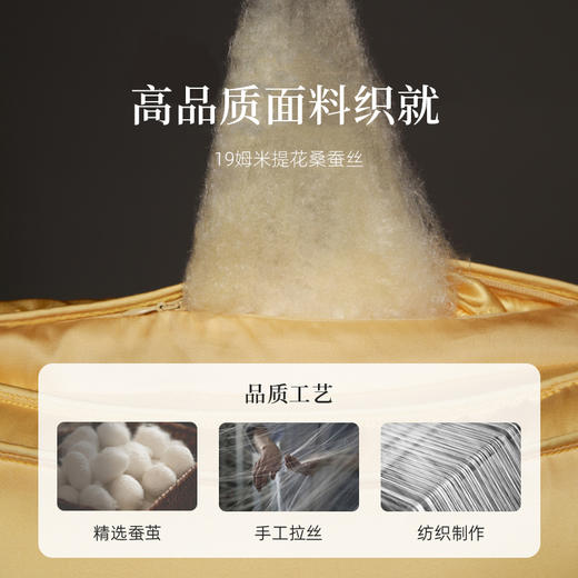 万事利“金蚕1号”黄金枕套装（枕头+枕套） 商品图2