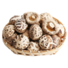 花菇150g-200g/份 商品缩略图0