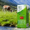 马三三有机纯牛奶200ml*12盒  有机牧草 0污染0农残 商品缩略图1