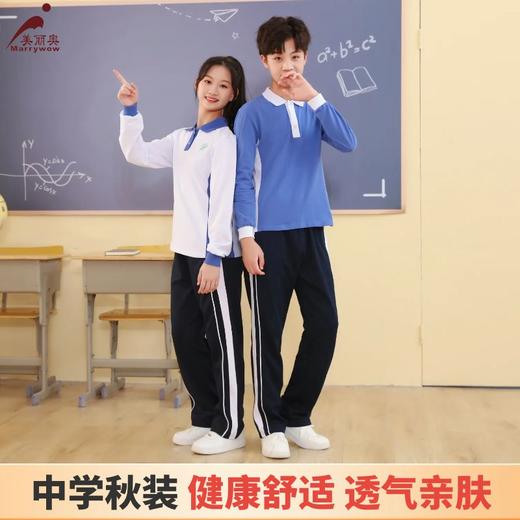 【中学生秋装】 深圳教育局 深圳校服中学男女生秋衣 普通款 商品图0