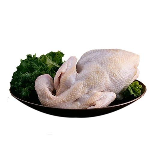 冰鲜柴母鸡约1400g/只 商品图0