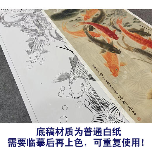 【大彩图】吴青霞工笔画白描底稿《九鲤图轴》鲤鱼荷花临摹勾线花鸟线稿A625 商品图3