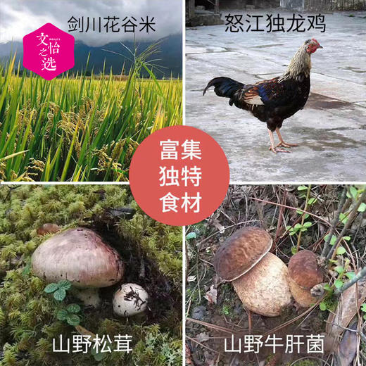 【好吃的】云南松茸菌菇鸡汤米线 香味浓郁 Q弹劲道 汤鲜味美 老少皆宜 快手早餐 商品图9