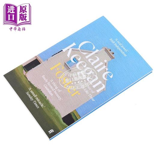 【中商原版】入围布克奖作者 克莱尔 吉根 寄养 电影安静的女孩 Foster 英文原版 亲情 温情小说 商品图10