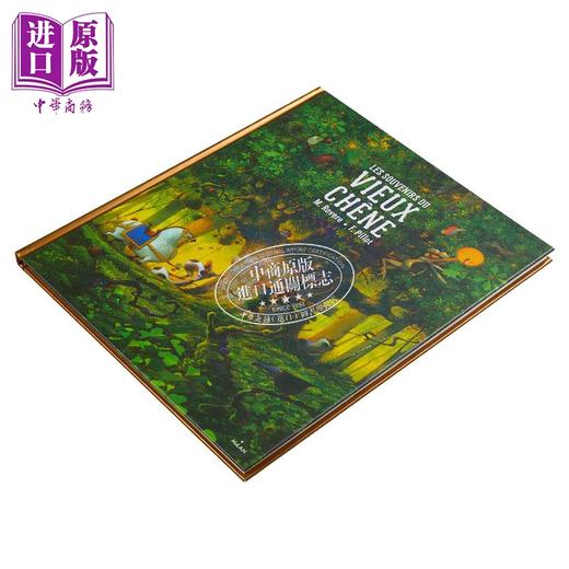 【中商原版】Frederic Pillot 古老橡树的记忆 绘本插画小说 法文原版 Les souvenirs du vieux chene 法国知名插画家 商品图10