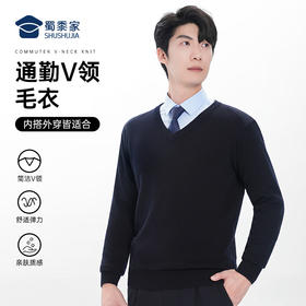 【通勤V领毛衣】弹力混纺毛衫休闲保暖长袖打底衫