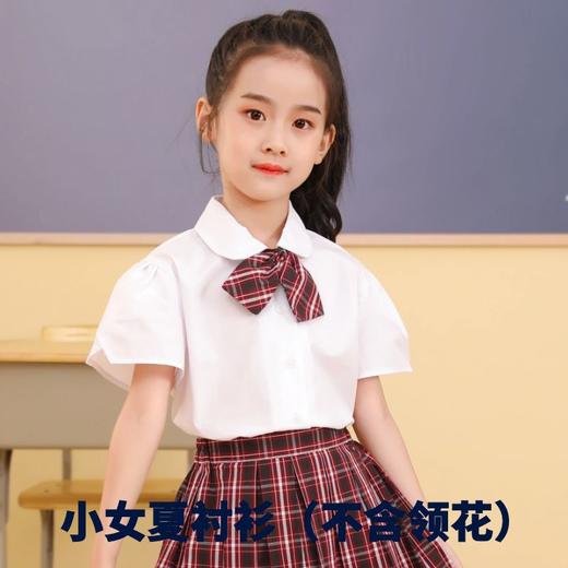 【小学夏礼服】深圳教育局 深圳校服小学生夏礼服 普通款 商品图4