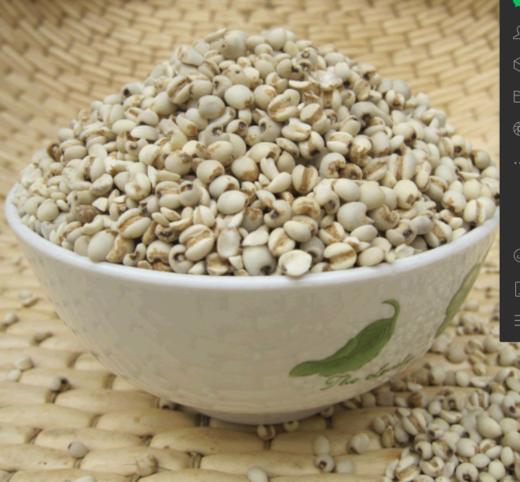 睿立散装小粒薏仁米1000g/袋 商品图0