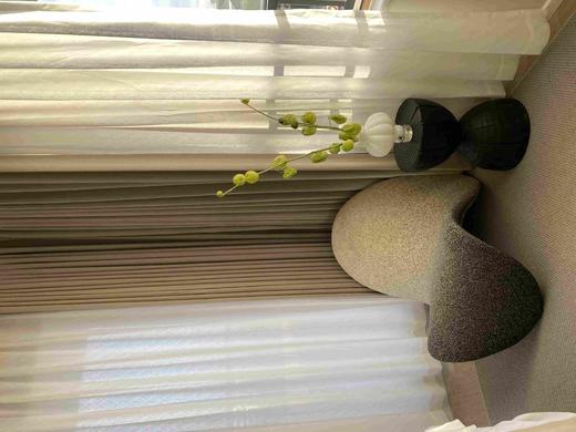 城喧二层卧室1 F006 北欧艺术创意休闲椅网红舌头椅 商品图1