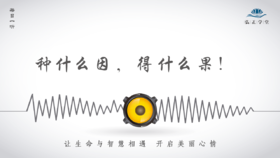 628条丨种什么因，得什么果！