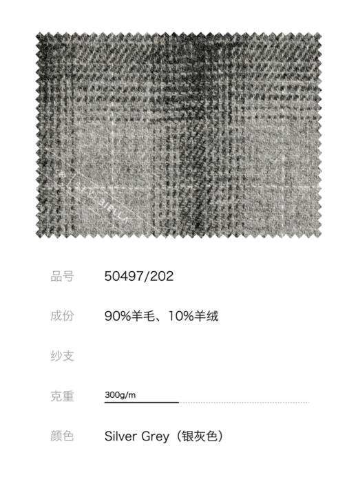 Stylbiella 羊绒羊毛混织灰色全麻衬单西 商品图2