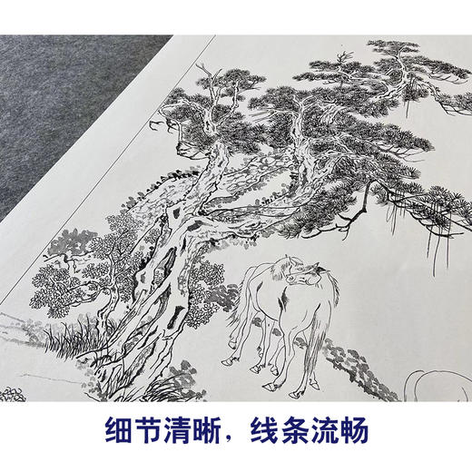 【大彩图】胡成荣工笔画白描底稿《八骏图》骏马临摹勾线高清打印稿A645 商品图4