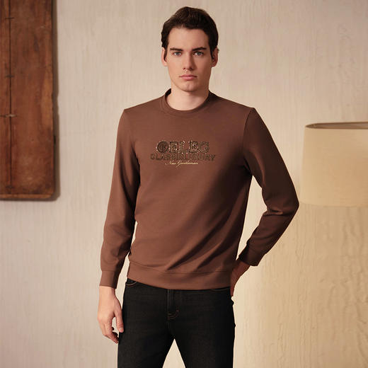 YvesFigarau伊夫·费嘉罗休闲长袖T恤960906 商品图2