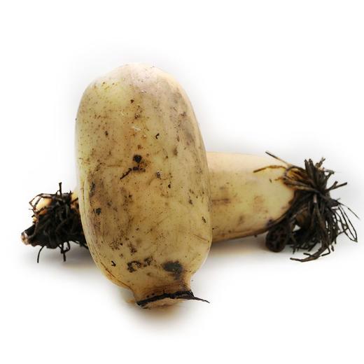 藕300g-400g/份 商品图0