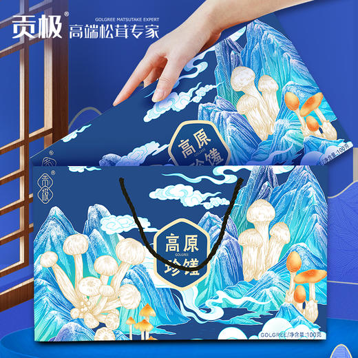 【贡极】高原珍馐100g 商品图4