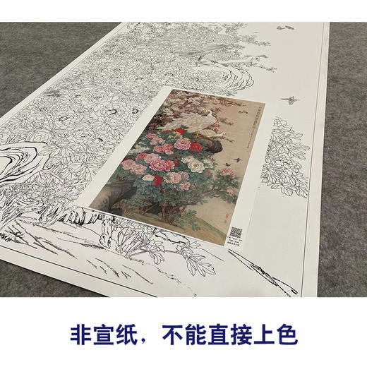 【大彩图】刘菊清工笔画白描底稿《牡丹》临摹勾线花鸟线稿HN20 商品图2