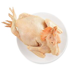 鲜三黄鸡1300g/份