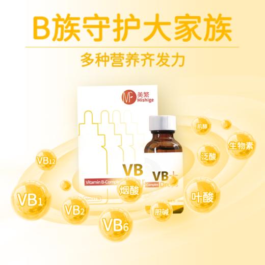 美繁 维生素B制剂 复配食品营养强化剂 商品图1