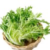 苦菊300g/份 商品缩略图0