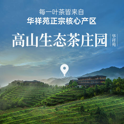 华祥苑-37.8g贵宾茶综合品鉴装 (大红袍/肉桂/水仙/清铁/红茶各1泡) 商品图2