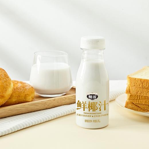 椰谷鲜椰汁245g*10瓶 商品图0