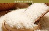 散秋田小町米5kg/袋 商品缩略图0