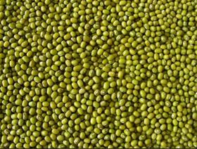 睿立散装绿豆1000g/袋