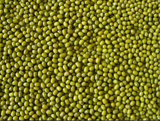 睿立散装绿豆1000g/袋 商品图0