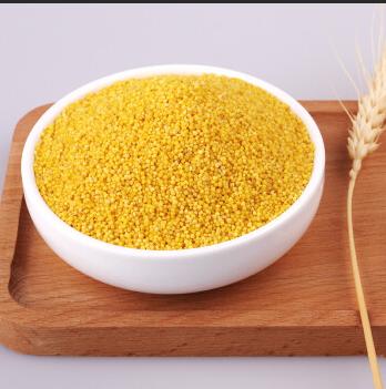 睿立散装东北小米1000g/袋 商品图0