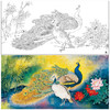 【大彩图】横幅工笔画白描底稿《孔雀》临摹勾线花鸟线稿HN19 商品缩略图0