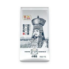 金龙鱼内蒙平原雪花粉1KG/袋