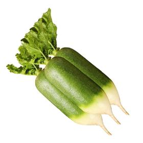 青萝卜350g-450g/个