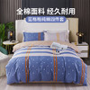 BNL-JF606 蓝格格纯棉四件套 商品缩略图0
