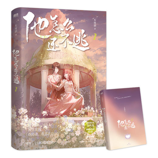 他怎么还不逃（全3册）（原名《大佬怎么还不逃》） 商品图6