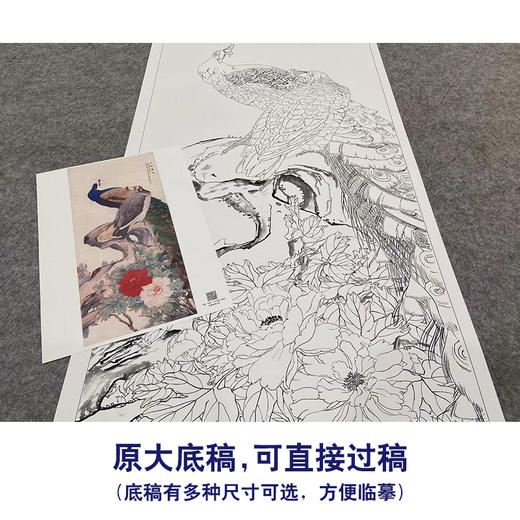 【大彩图】刘奎龄工笔画白描底稿《孔雀牡丹图》临摹勾线花鸟线稿HN17 商品图1