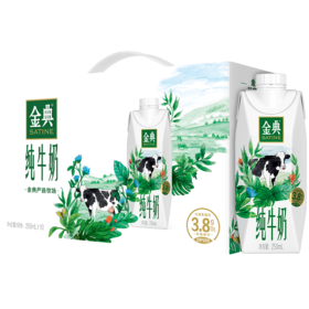 金典纯牛奶（高端畅饮）250mL*10/提
