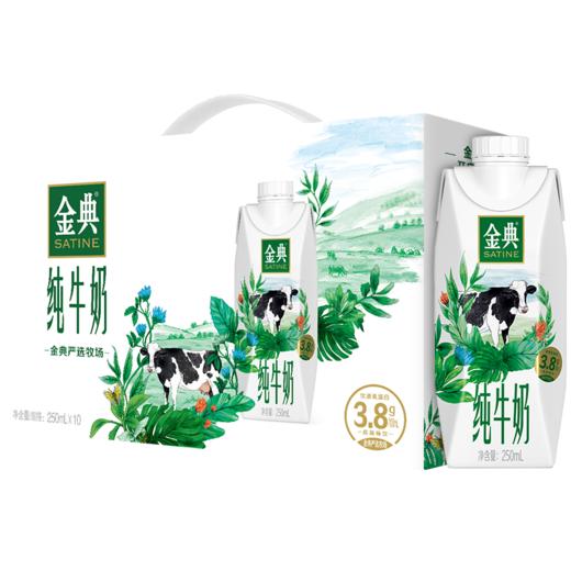 金典纯牛奶（高端畅饮）250mL*10/提 商品图0