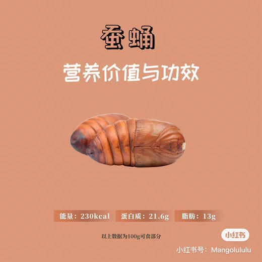鲜活蚕蛹！❤️蛋白质最高的食物，蛋白质含量远远高于肉、蛋、鱼！❤️能增强人体免疫力！❤️补钙！❤️富含多种微量元素！炒、炸、煎，特别香！ 商品图3