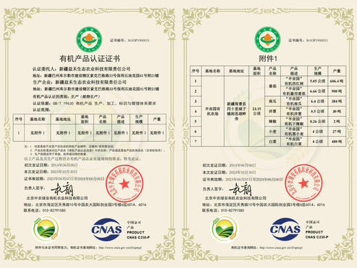 2025新鲜上市【新疆有机翠玉白菜】喝天山雪水长大 一年只一茬！汁水甘甜 纤维细 大自然的味道 商品图9