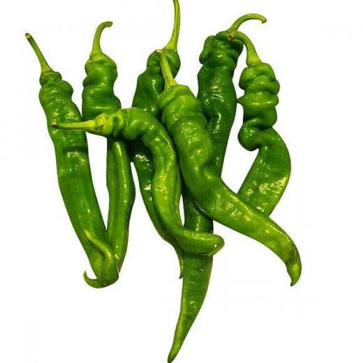 螺丝椒200g-250g 商品图0