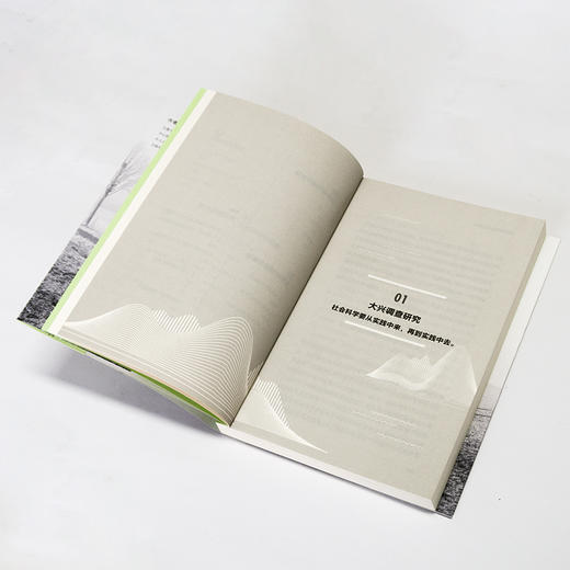 【连岳】做接地气的调查研究 商品图8