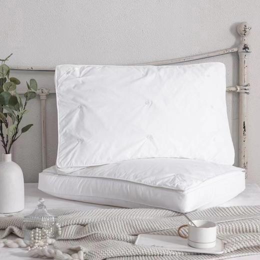 蚕丝复合枕*单个装 商品图0