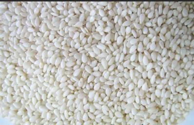 睿立散装白芝麻1000g/袋 商品图0