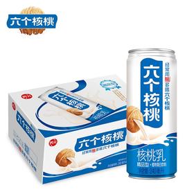 精研型六个核桃240ml*20/箱