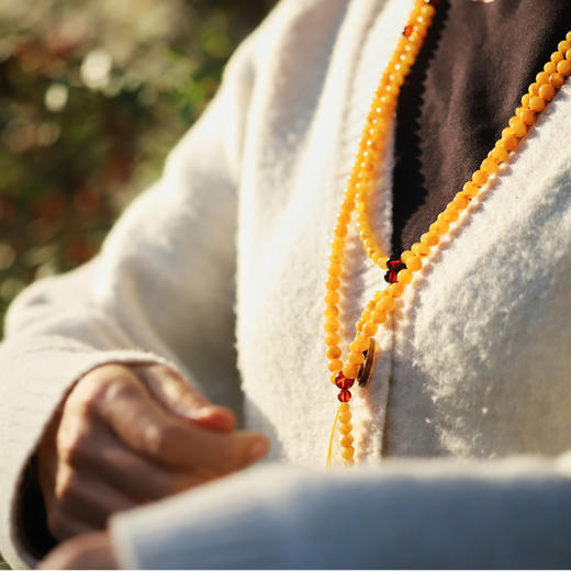 *自营*108颗珠子 | 长款血珀蜜蜡可选可diy。佛珠天然琥珀珠子文玩项链男女佩戴盘珠。 商品图6