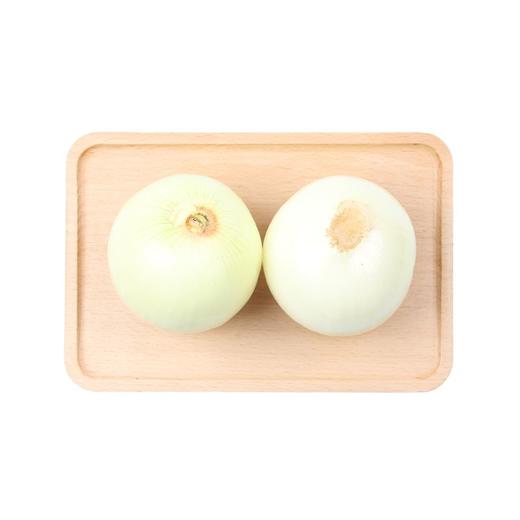 葱头400g-500g/份 商品图0