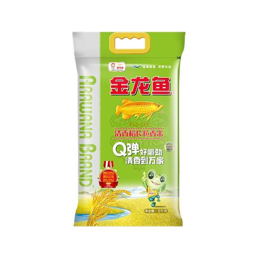 金龙鱼清香稻大米5kg/袋 商品图0