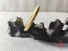 铜币十二生肖花钱 亥猪 商品缩略图2