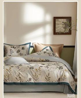 5F罗曼罗兰知庭精品长绒棉四件套200*230cm