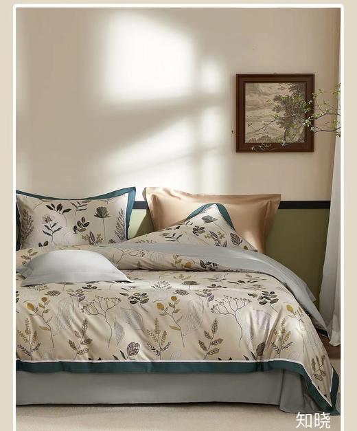 5F罗曼罗兰知庭精品长绒棉四件套200*230cm 商品图0